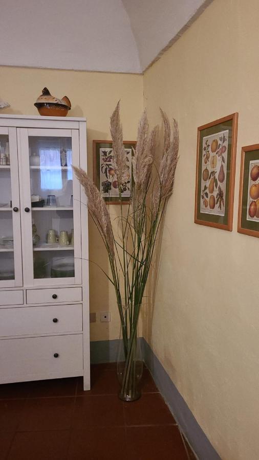 Luisa In Palazzo Bianchi Leilighet Parma Eksteriør bilde